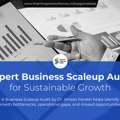 Expert Business Scaleup Audit For Sustainable Growth By Dr Ameet Parekh