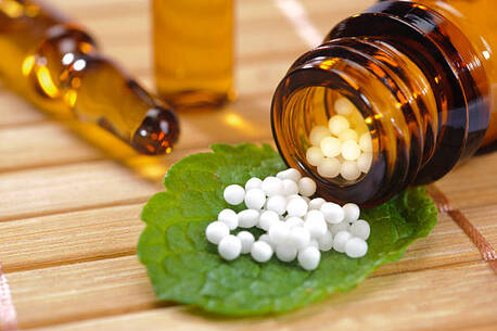 Bhopal, Career Counseling, SKRP Gujarati Homoeopathic Medical College Hospital And Research Centre Indore