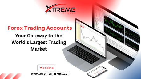 Mumbai, Financial, Forex Trading Accounts: Your Gateway To The World&rsquo;s Largest Trading Market