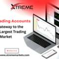 Forex Trading Accounts: Your Gateway To The World&rsquo;s Largest Trading Market