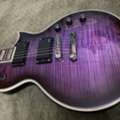 SAR 2600,  ESP LTD Elec Guitar