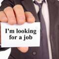 Looking For Job