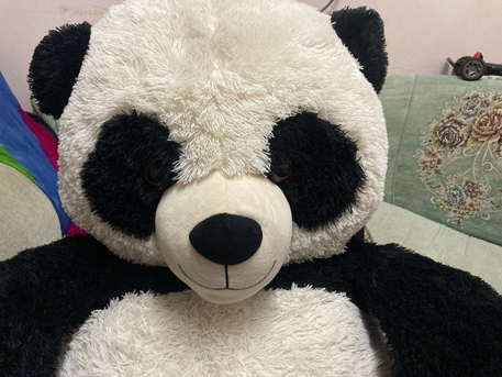 Dammam, Toys & Games, SAR 50,  Big Plush Giant Panda Bear, Only Whatsapp