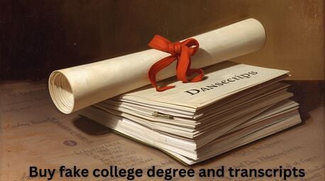 New York, Education, Buy Fake College Degree And Transcripts