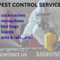 Pest Control Services