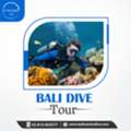 Bali Dive Tour &ndash; Explore The Ocean Like A Local