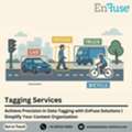 Achieve Precision In Data Tagging With EnFuse Solutions - Call Now!