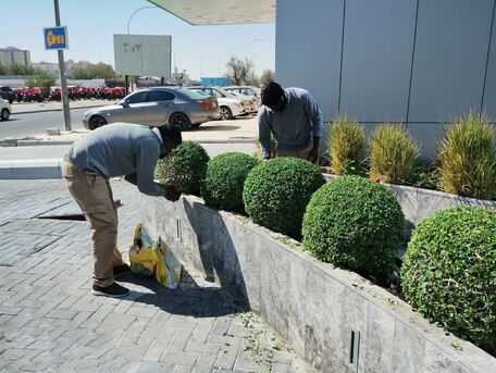 Riyadh, Job Seekers, Irrigation & Landscape Engineer &ndash; 7 Years Gulf Experience | مهندس ري ومناظر طبيعية &ndash; خبرة