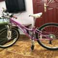 BHD 4500, Trek Girls Cycle