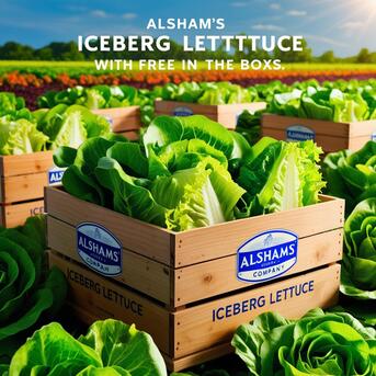 Muscat, Food, Iceberg Lettuce