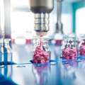 Which Are The Top 50 Pharmaceutical Companies In India To Partner With?