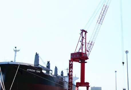 Da Nang, Heavy Equipment, VND 1,  Shipyard Jib Crane Manufacturer & Supplier | Heavy Duty Marine Lifting