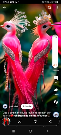 Riyadh, Construction, For Painting And Cleaning The Hom