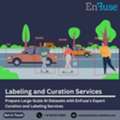 Prepare Large-Scale AI Datasets With EnFuse&rsquo;s Expert Curation And Labeling Services