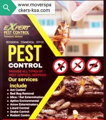 Madinah, Pest Control, PEST CONTROL⭐FUMIGATION  CLEANING  & RELOCATION SERVICES IN MADINAH (0594 303020)