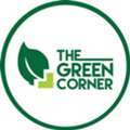 Bring Home The Magic Of A Live Christmas Tree In Singapore - The Green Corner