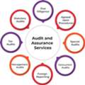 One Point - Audit & Violation Support Services