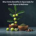 INR 639,  Bhui Amla Benefits In Ayurveda For Liver Detox & Wellness
