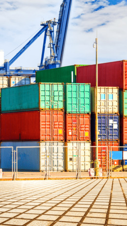 Dubai, Cargo, Stress-Free Customs Clearance & Complete Documentation