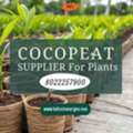 Cocopeat Supplier For Plants