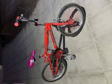 Riyadh, Items Wanted, 20&rdquo; Cycles In Excellent Condition