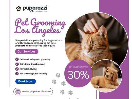 Los Angeles, Daycare, Pet Grooming Los Angeles &ndash; Premium Care For Your Pets