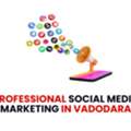 Professional Social Media Marketing In Vadodara