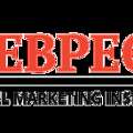Webpeckers Digital Marketing Institute And Agency Offering Training Services
