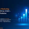 Social Media Marketing Services | SMM & SMO &ndash; Digital Hub Solution