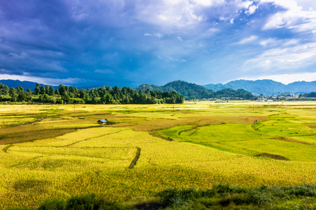 Kolkata, Travel, Arunachal Pradesh Holiday Package From Guwahati