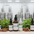 Essential Oil Manufacturer &ndash; Pure & Natural Bulk Supply