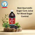 INR 639,  Best Ayurvedic Sugar Cure Juice For Blood Sugar Control