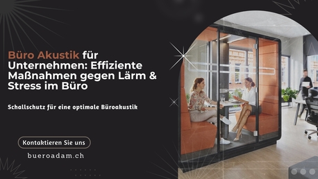 Geneva, Furniture, B?ro Akustik F?r Unternehmen: Effiziente Ma?nahmen Gegen L?rm & Stress Im B?ro