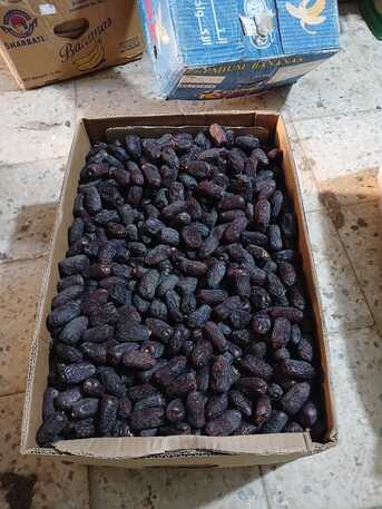 Jeddah, Wholesale Products, Ajwa Fresh Dates