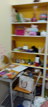 Paris, Furniture, Sr 100,  Book Shelves Decoration Shelves