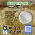 TRY 10,  New Supplier BMK/PMK CAS 5449-12-7 28578-16-7 Pharmaceutical Precursors