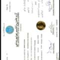 Job Seeker | Immediate Joining | Transferable Iqama