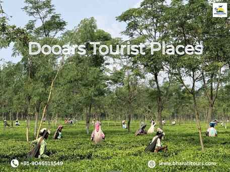 Kolkata, Food Delivery, Dooars Tourist Places &ndash; Best Nature Getaways By Bharatitours