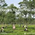 Dooars Tourist Places &ndash; Best Nature Getaways By Bharatitours