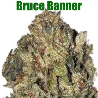 Hamilton-Burlington, Health & Beauty Items, CAD 100,  Buy Bruce Banner Online In Canada