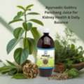 INR 545,  Ayurvedic Gokhru Panchang Juice For Kidney Health & Daily Balance
