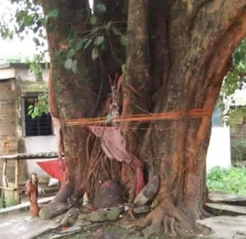 Punjab, Writing, Suryagrah Ke Liye Piipal Ke Ped