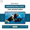 Bali Dive Trip