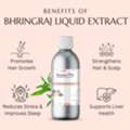 INR 249,  Bhringraj Liquid Extract &ndash; Natural Hair & Skin Vitality Booster | Raasa Oils
