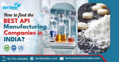 Mumbai, Health & Beauty Items, How Do API Manufacturers In India Support Global Pharma Markets? | Sarv Biolabs