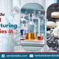 How Do API Manufacturers In India Support Global Pharma Markets? | Sarv Biolabs