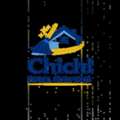 Professional Caregivers Housemaid