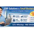 ERP / System Developer &ndash; Affordable For Small Business & Startups (Riyadh)
