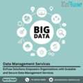 EnFuse Solutions Empowers Organizations With Scalable And Secure Data Management Services