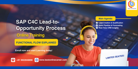 Pune, Guest Posting, SAP C4C Functional Course Online &ndash; CRM Cloud Training By Experts